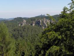 Resize of Talpa 038.jpg